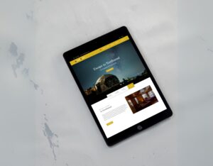 Untitled design (17)